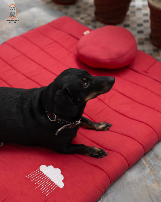 Cherry Red Pet Mattress