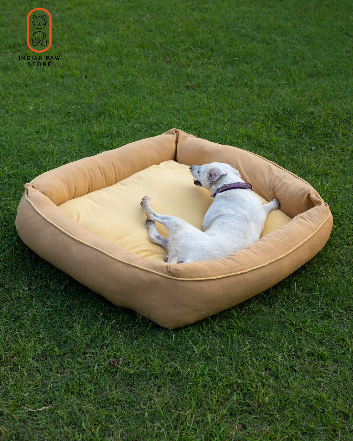 Butter Yellow Pet Bed