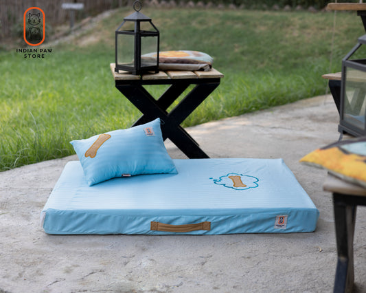 Sky Blue Firm  Pet Mattress with pillow